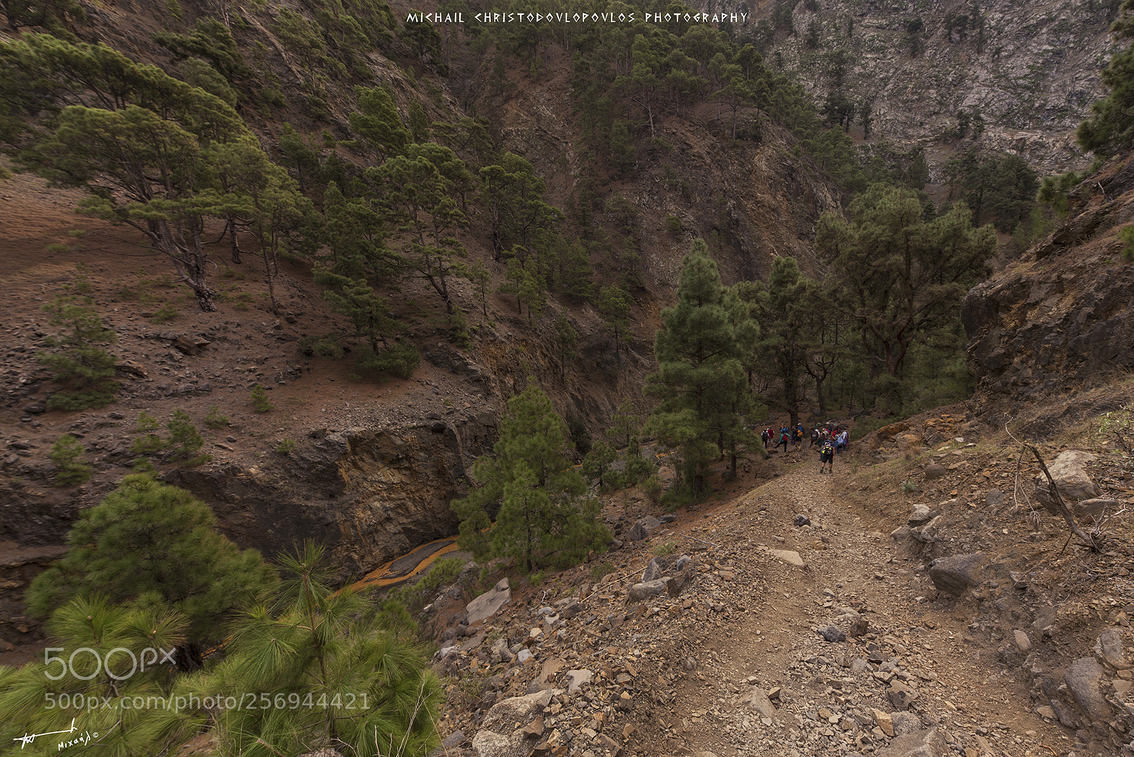 Nikon D810 sample photo. Parque nacional de la photography