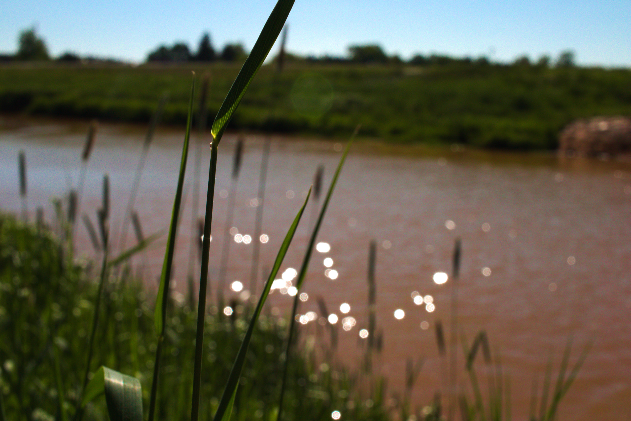 Canon EF-S 24mm F2.8 STM sample photo
