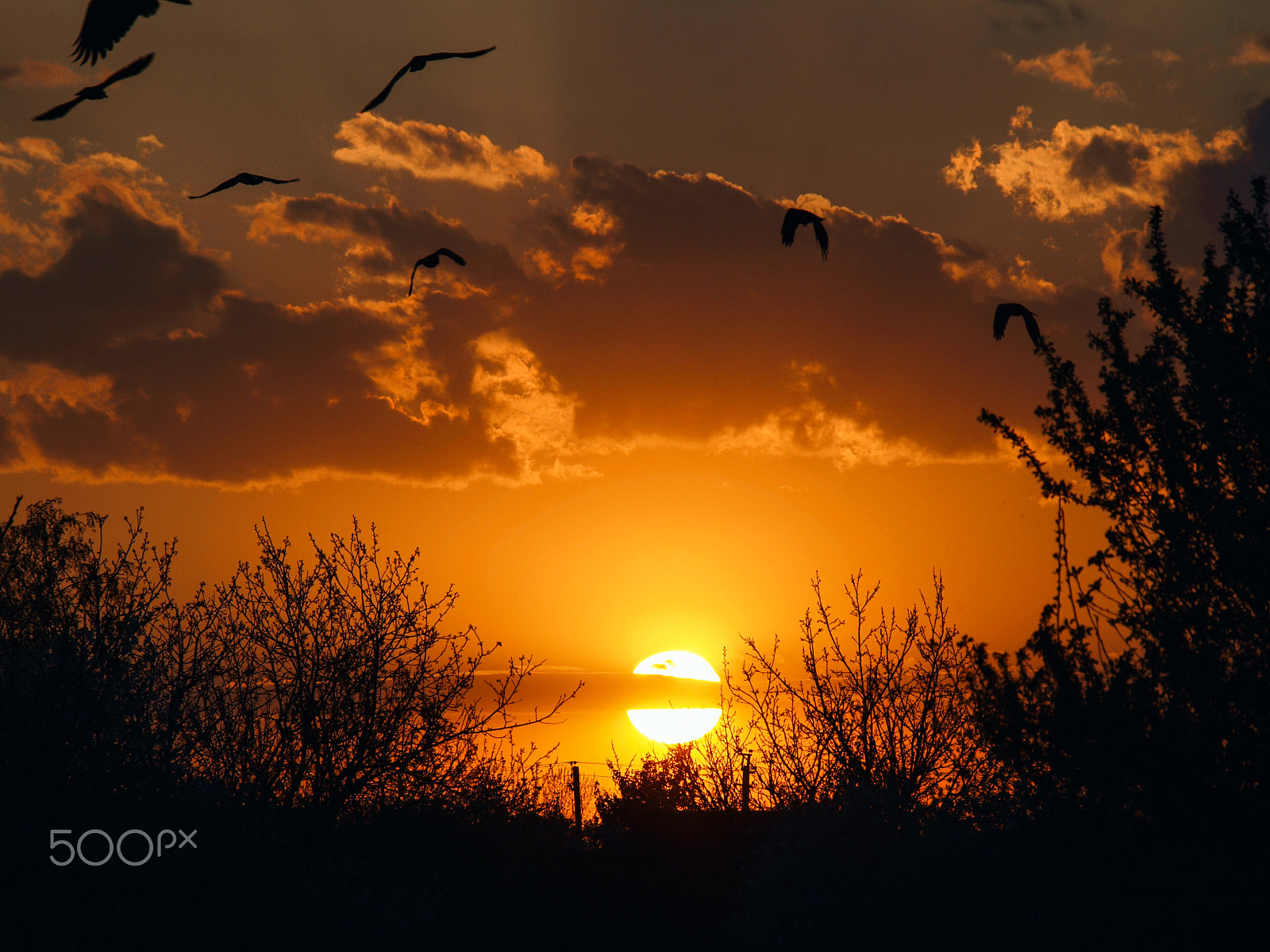Olympus E-450 (EVOLT E-450) sample photo. Orange sunset photography