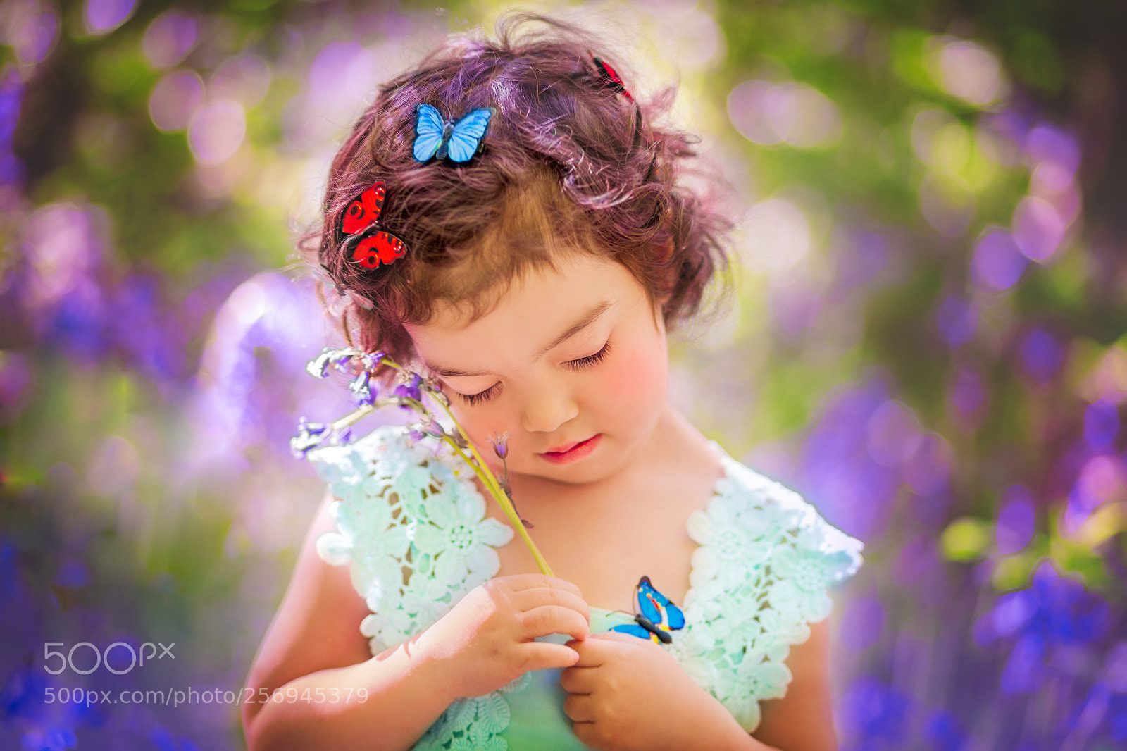 Canon EOS 6D sample photo. Bluebell photography