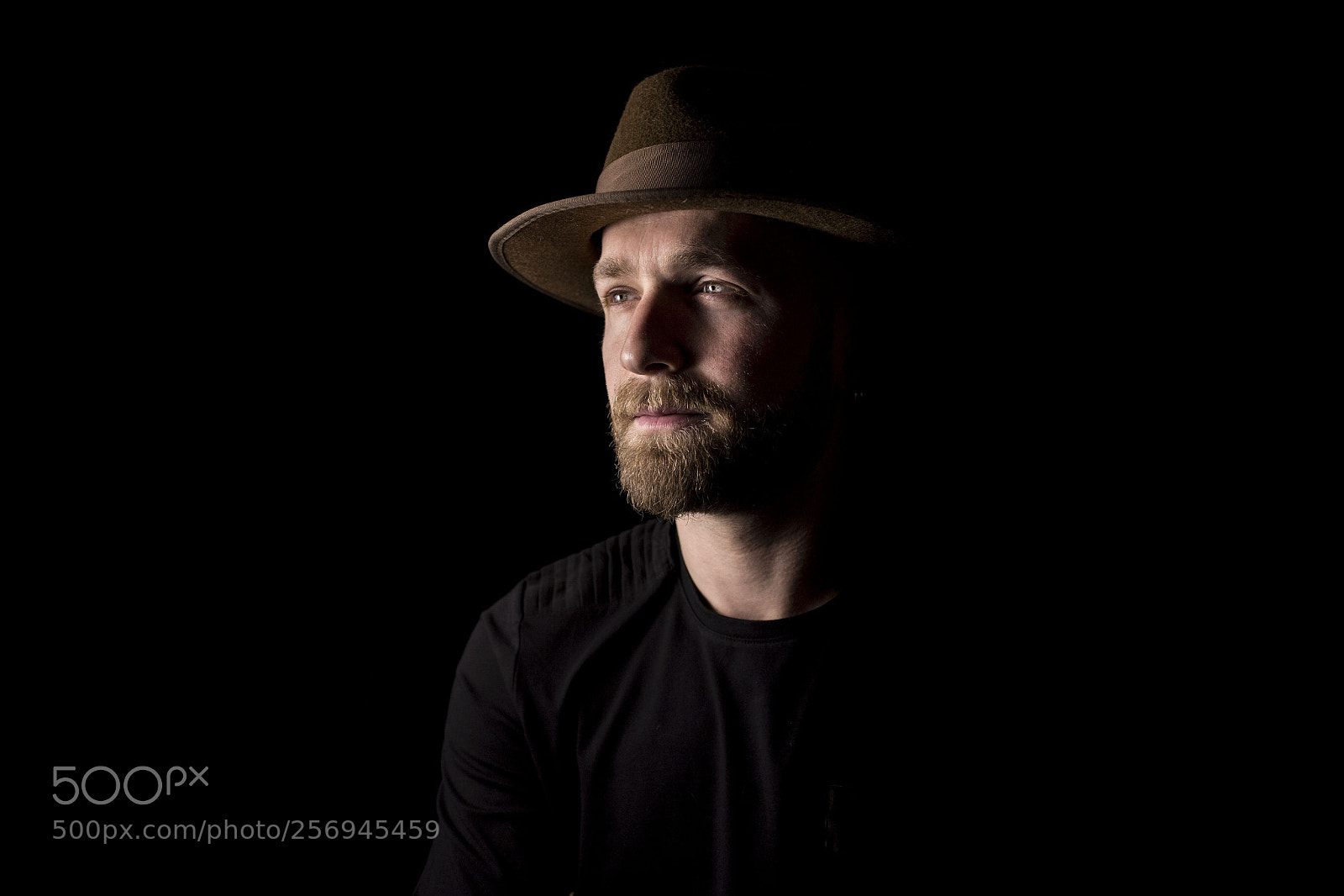 Canon EOS 6D sample photo. Low key photography