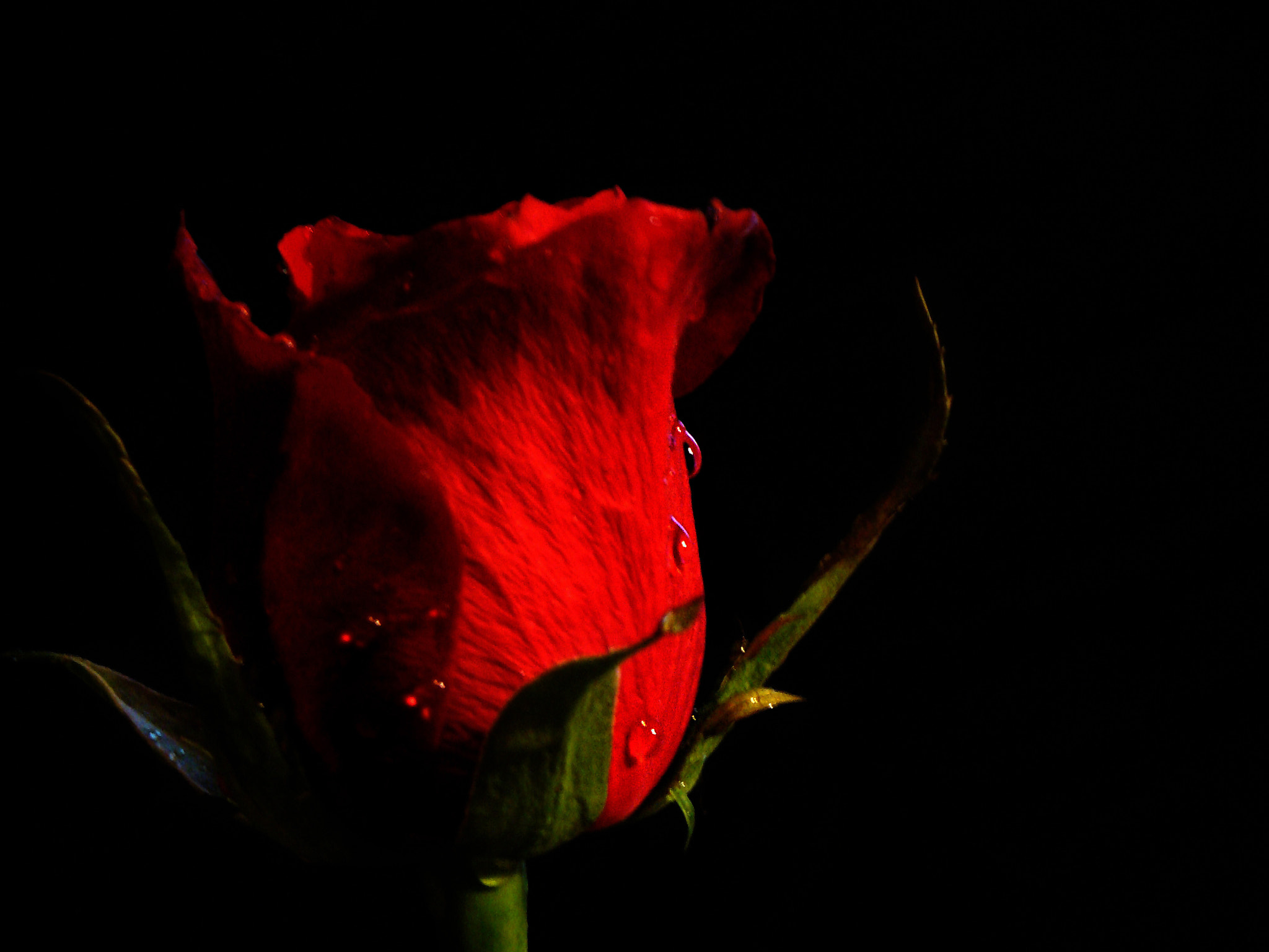 Sony DSC-H3 sample photo. Into the dark... photography