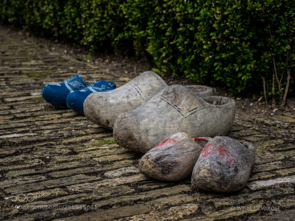 Olympus OM-D E-M1 sample photo. Typical dutch photography