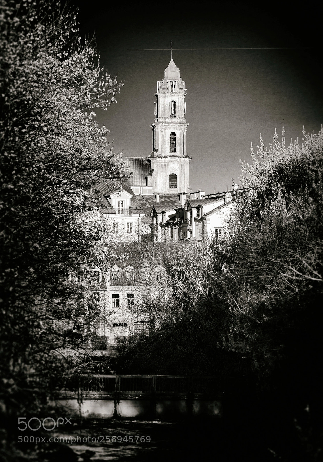 Nikon D610 sample photo. Edit photography