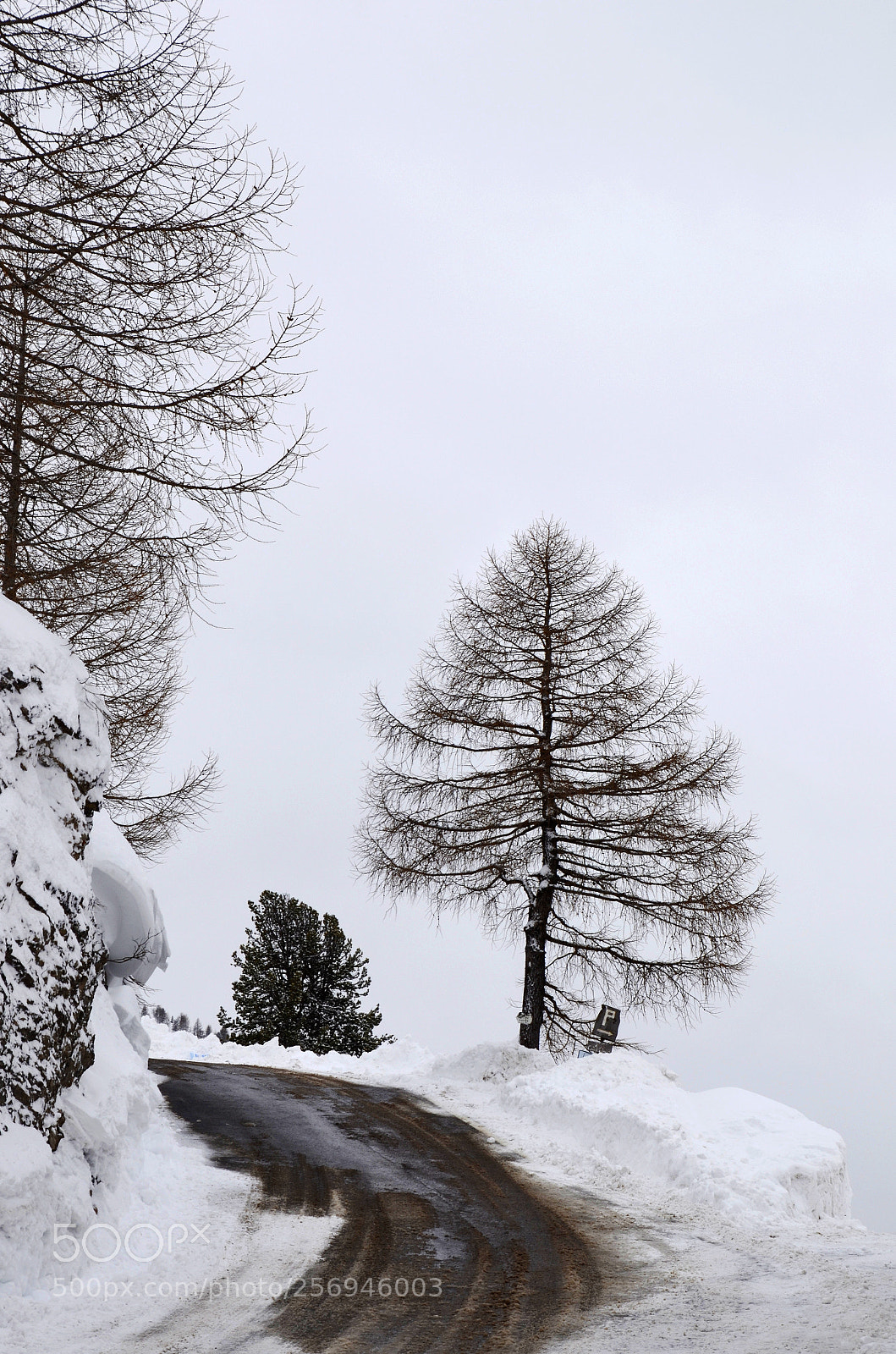 Nikon D7000 sample photo. Snowy street photography