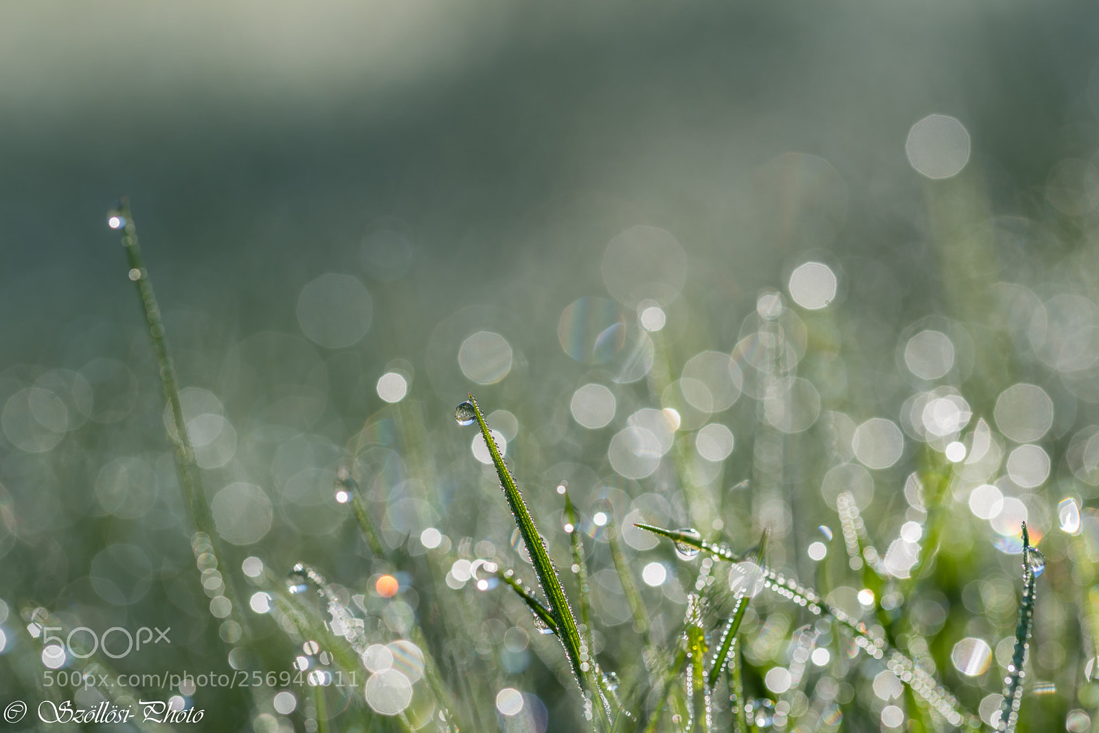 Nikon D750 sample photo. Tear of the sun photography