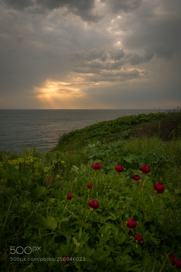 Nikon D750 sample photo. Seascape photography