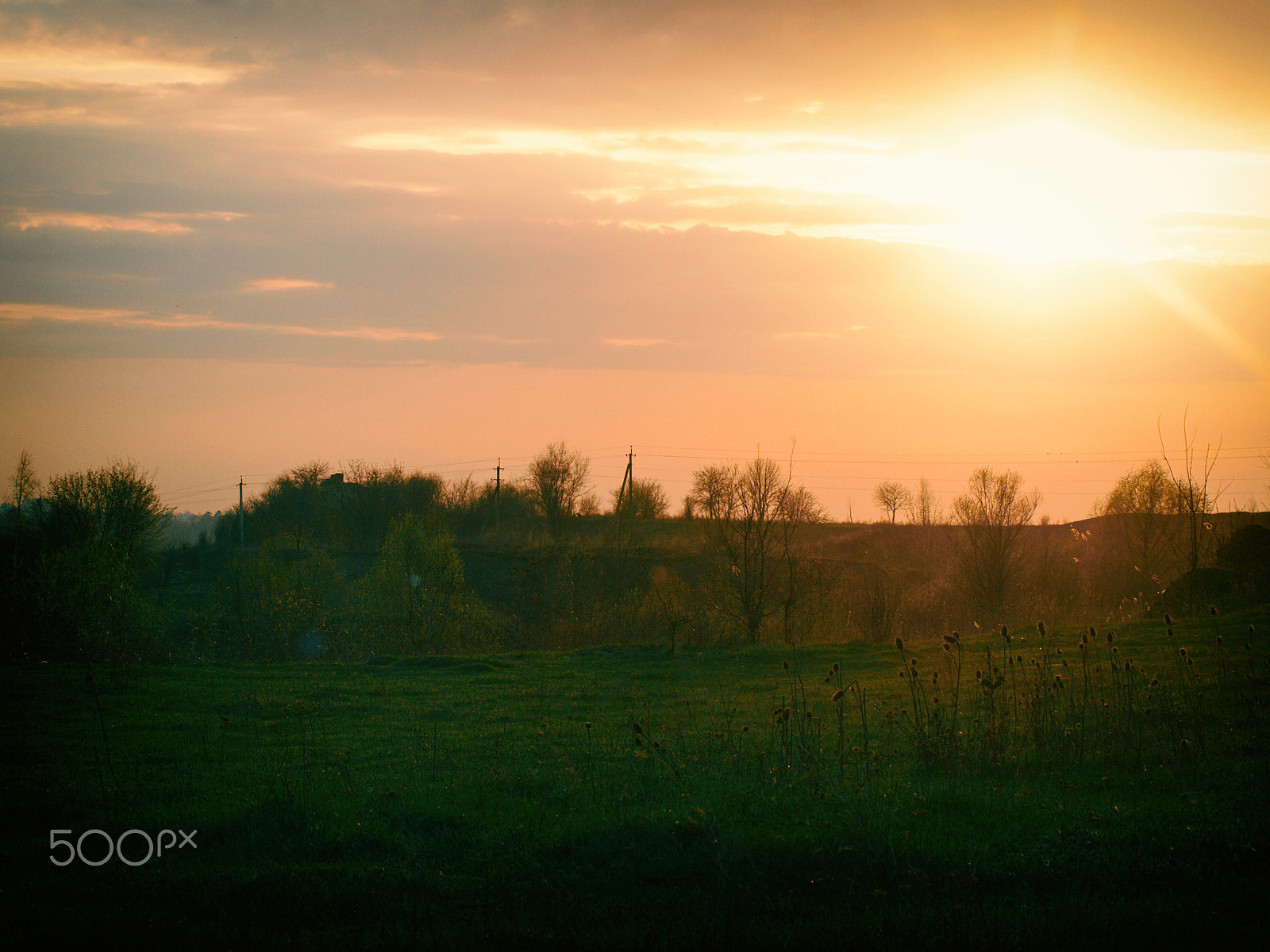 Olympus E-450 (EVOLT E-450) sample photo. Field photography