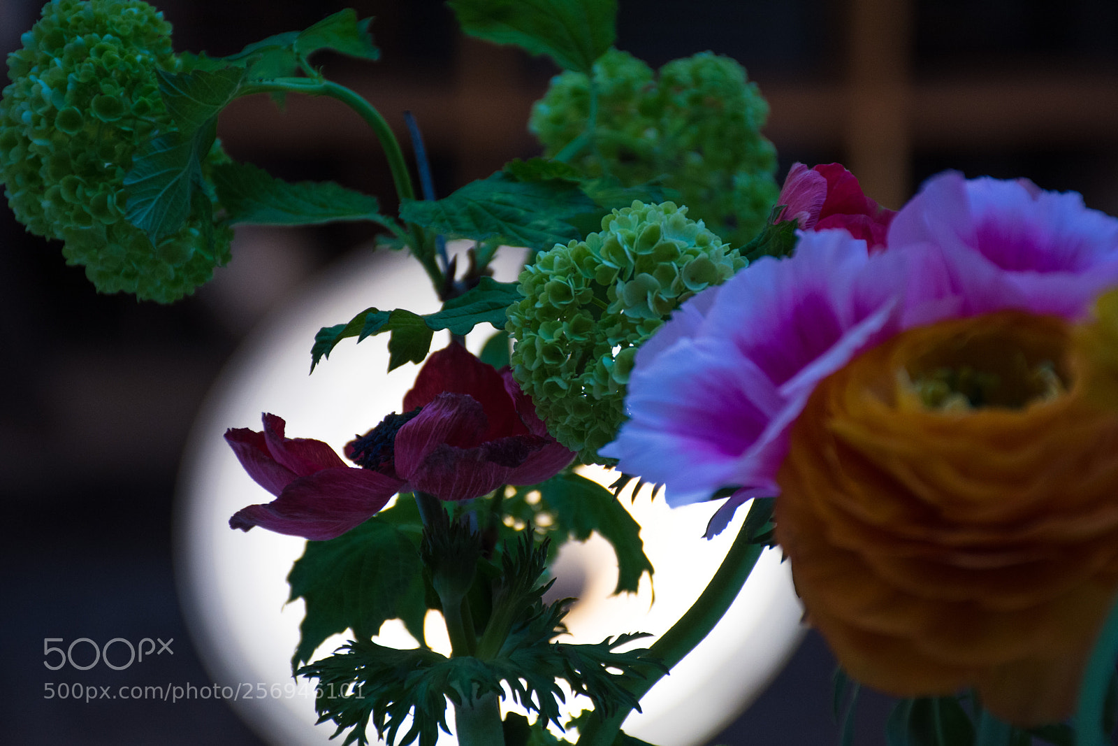 Nikon D7200 sample photo. Dsc photography