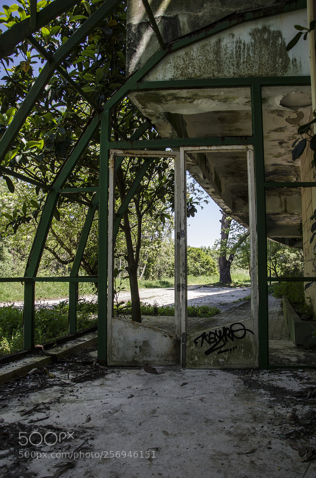 Nikon D7000 sample photo. Open door photography