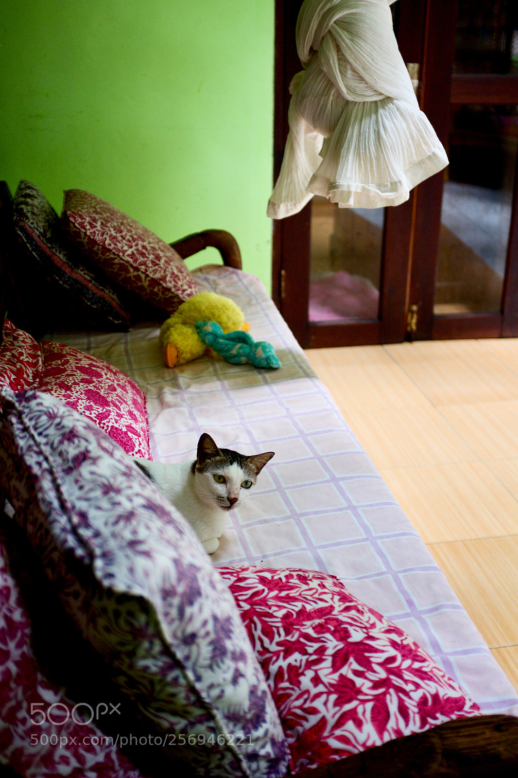 Fujifilm X100S sample photo. Cats of bali photography