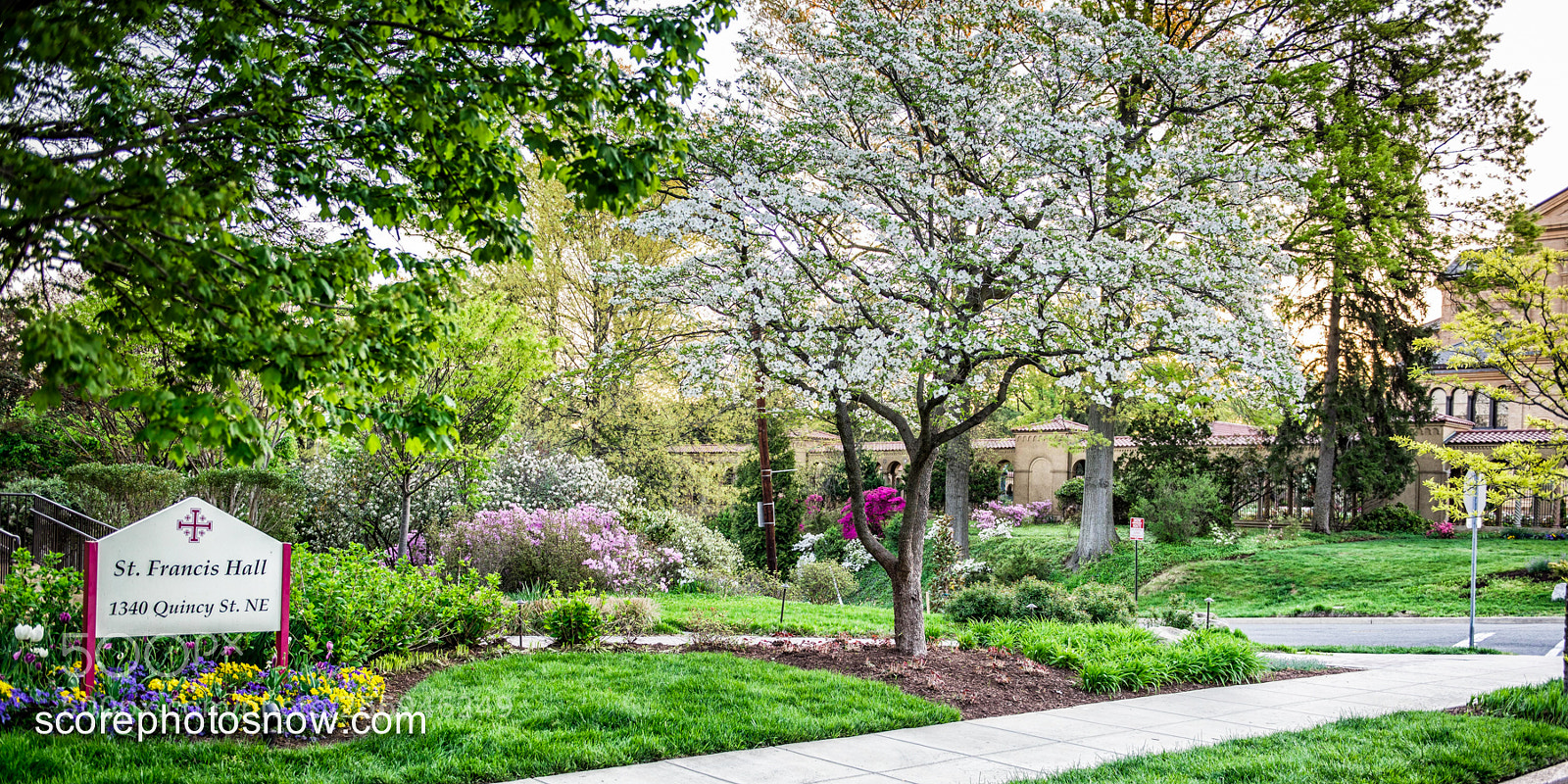 Nikon D750 sample photo. Dc landscape photography