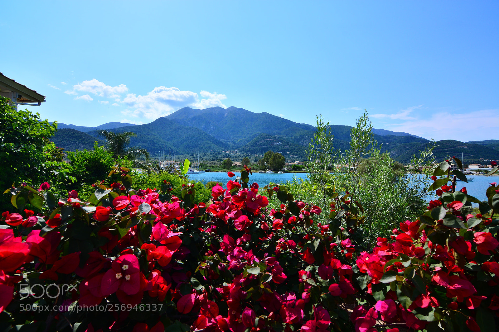 Nikon D5200 sample photo. L121 photography