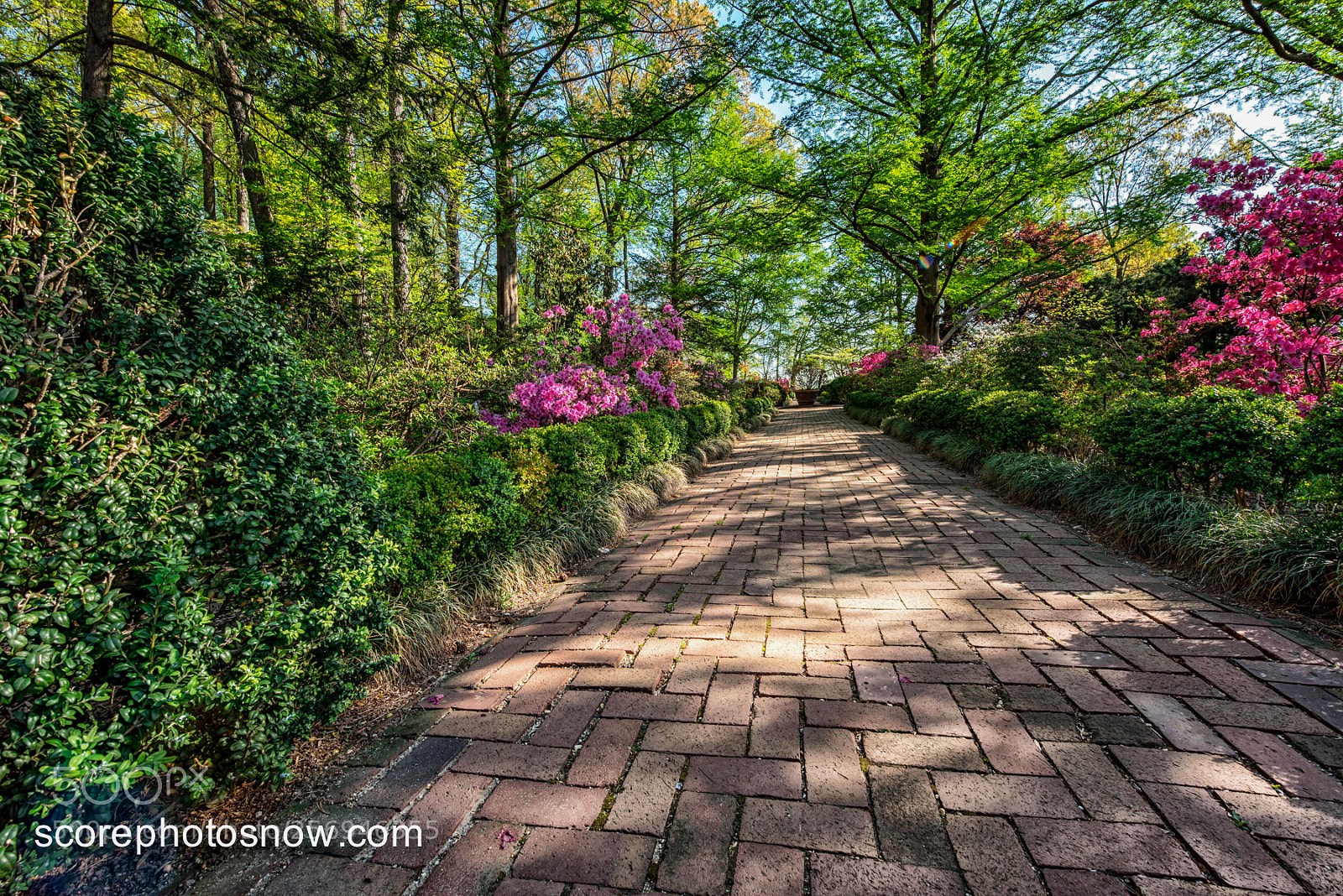 Nikon D750 sample photo. Dc landscape photography