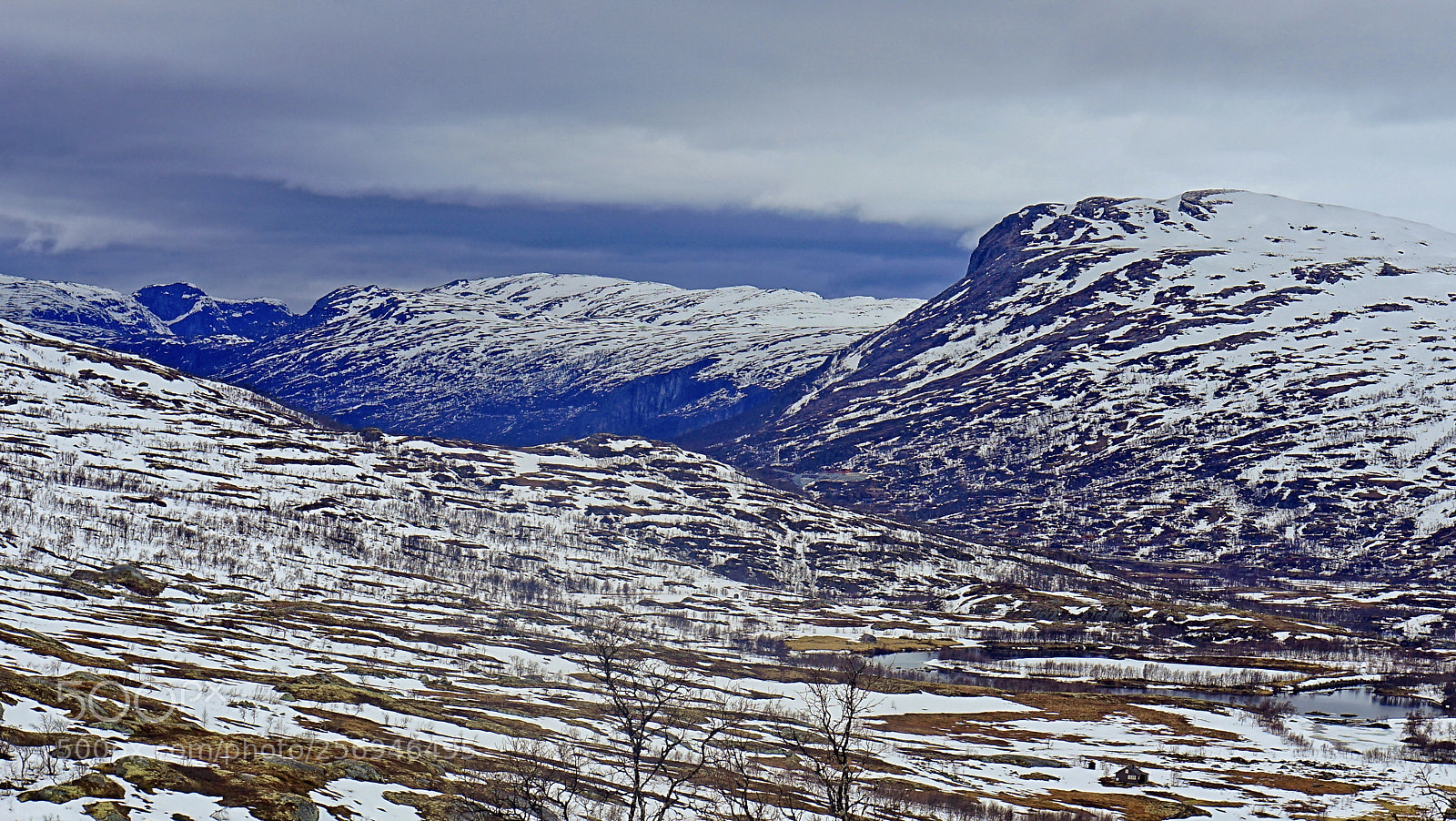 Sony a7 II sample photo. Hardangerviddag photography