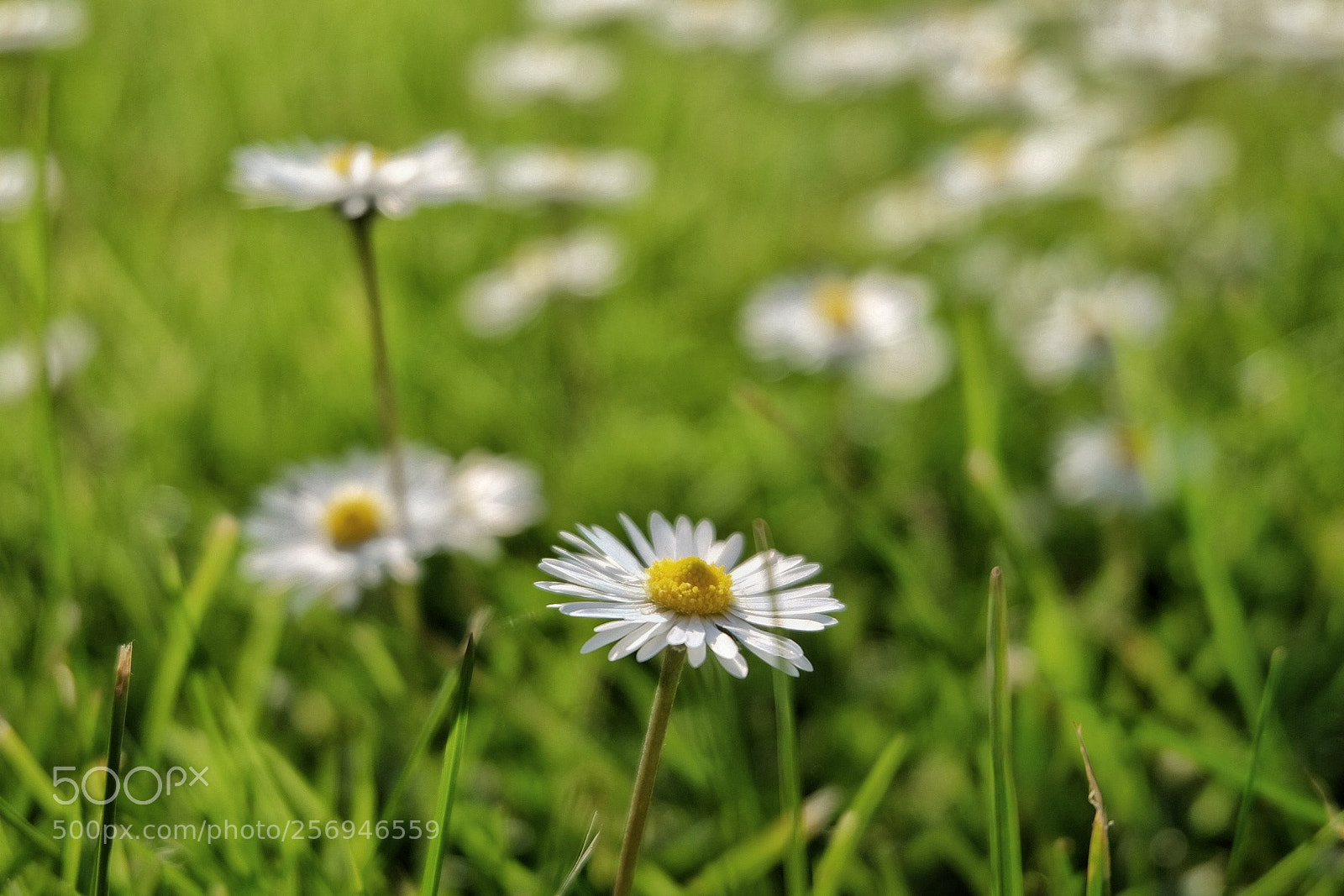 Fujifilm X-T10 sample photo. Untitled photography