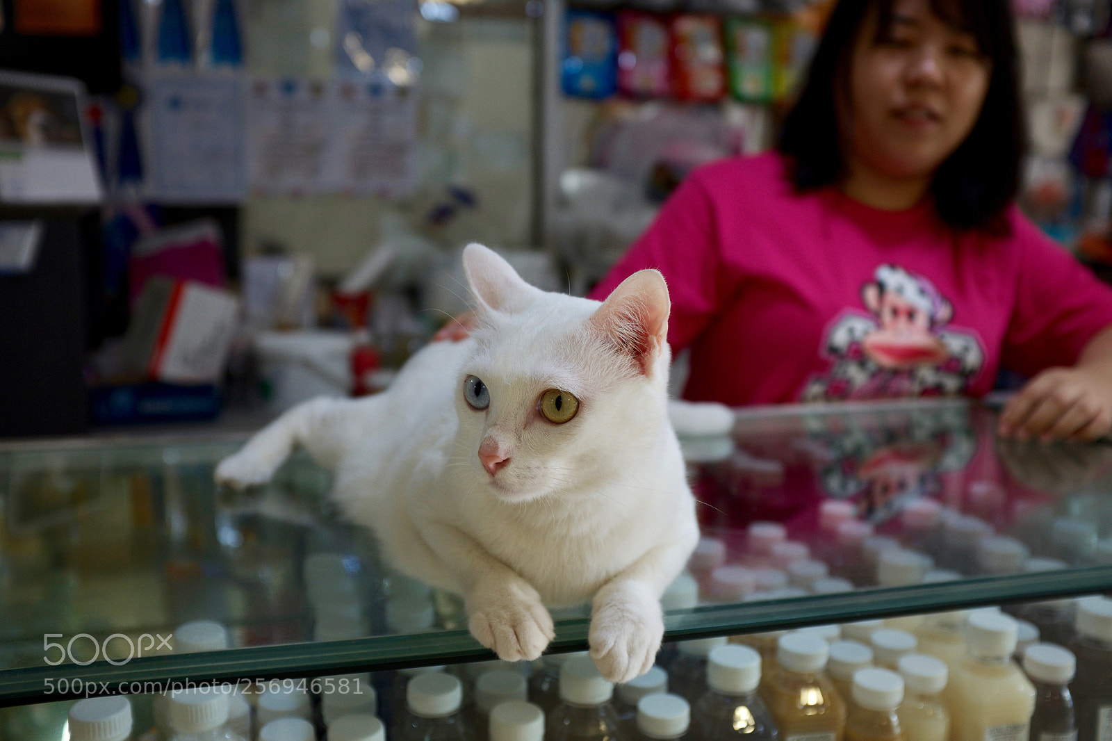 Fujifilm X100S sample photo. Cats of bali photography