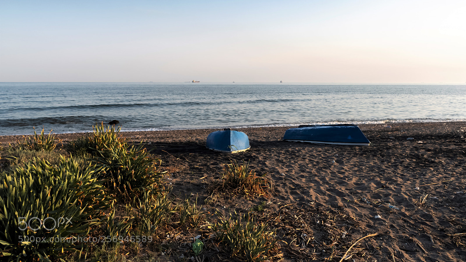 Nikon D5600 sample photo. Kayıklar photography