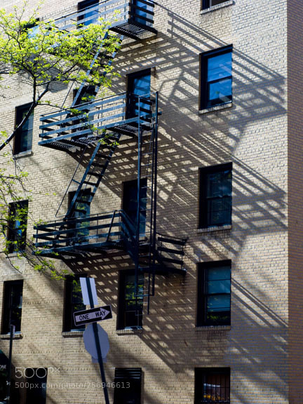 Nikon D60 sample photo. Steps photography