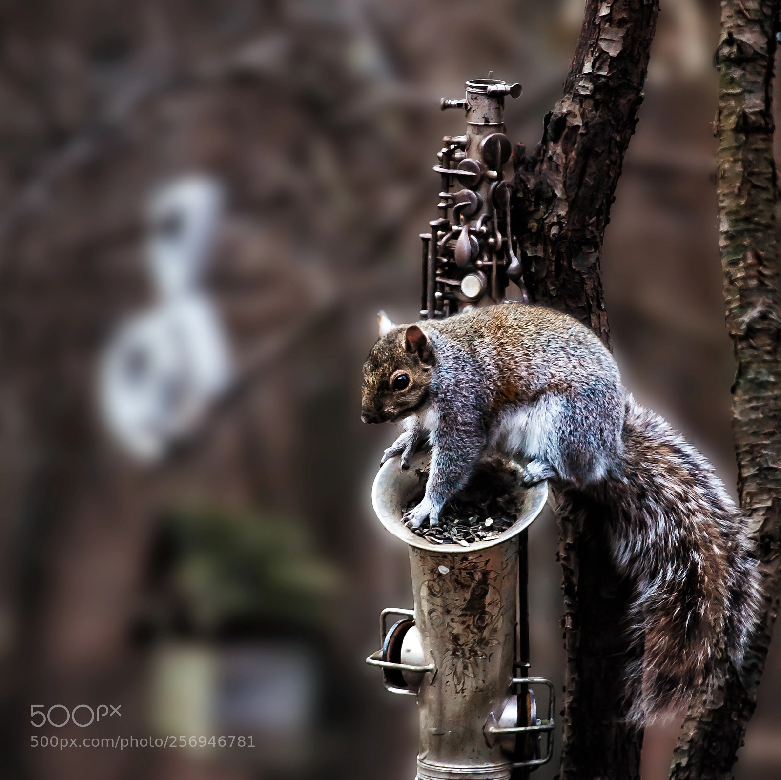 Canon EOS 5D Mark II sample photo. Squirrel on saxophone photography