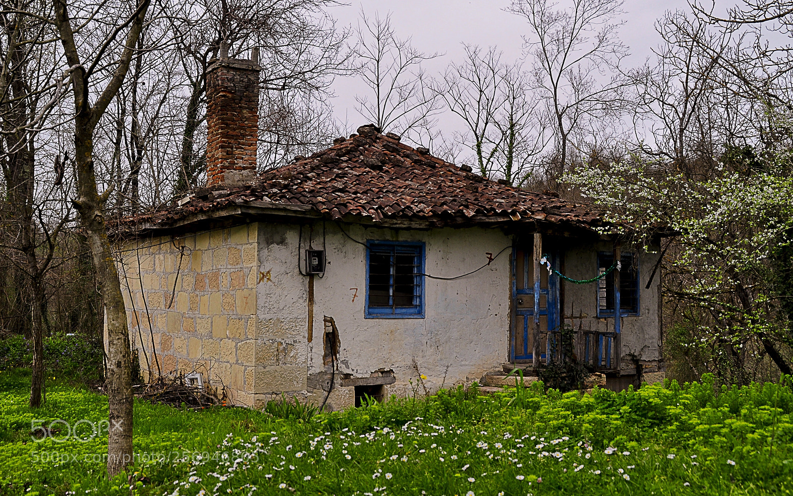 Nikon D5000 sample photo. Köy evi photography