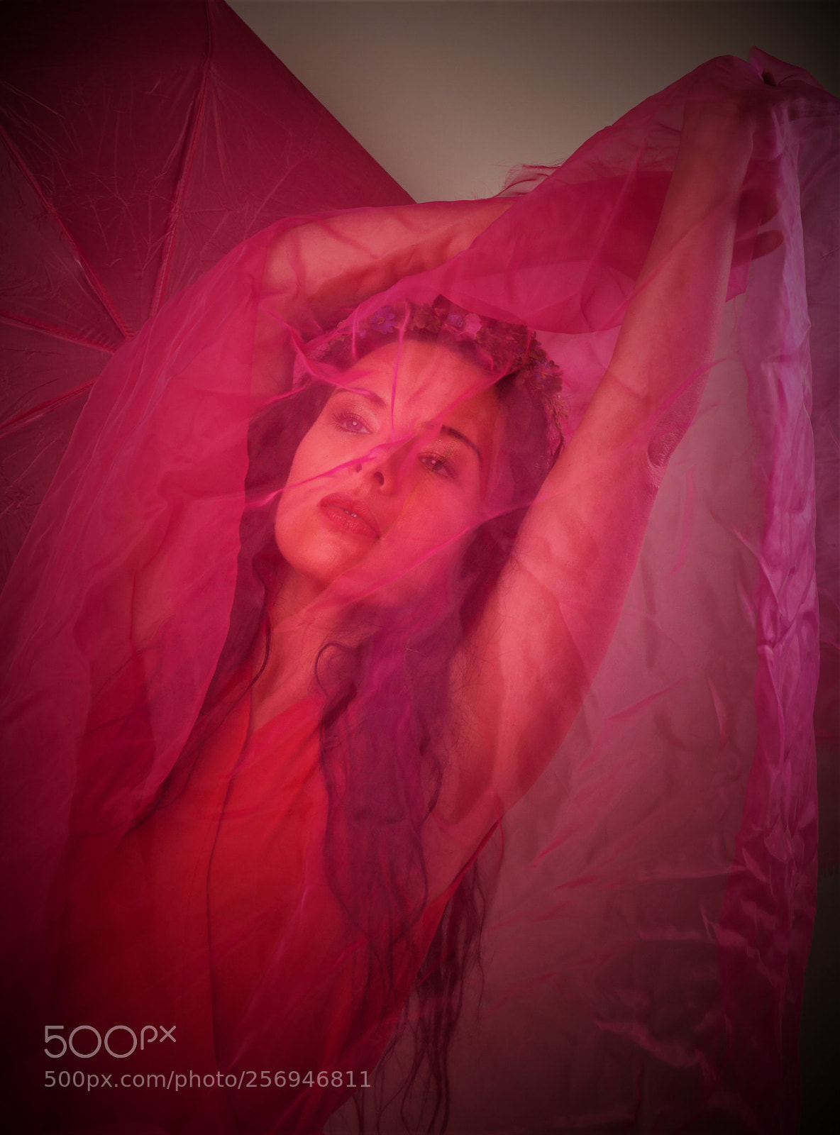 Sony SLT-A58 sample photo. Pink photography