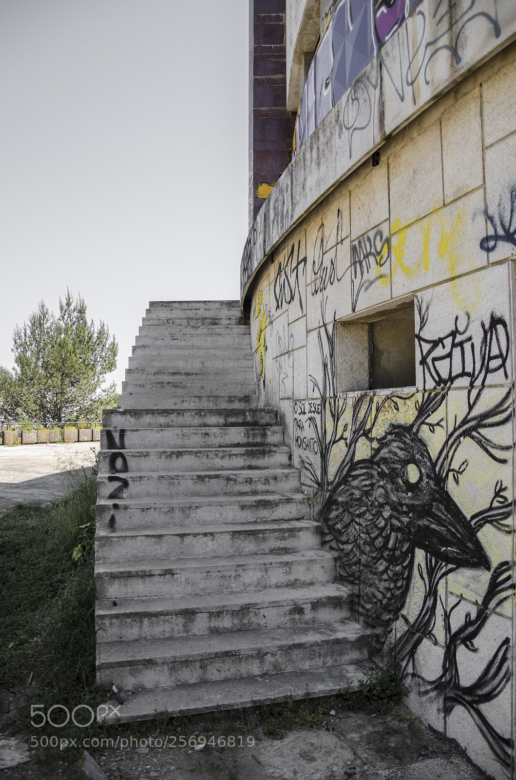 Nikon D7000 sample photo. Entra photography