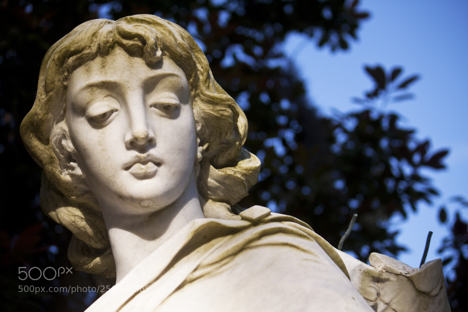 Canon EOS 500D (EOS Rebel T1i / EOS Kiss X3) sample photo. Bonaventure angel photography