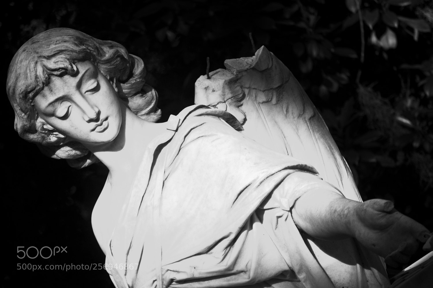 Canon EOS 500D (EOS Rebel T1i / EOS Kiss X3) sample photo. Bonaventure angel photography