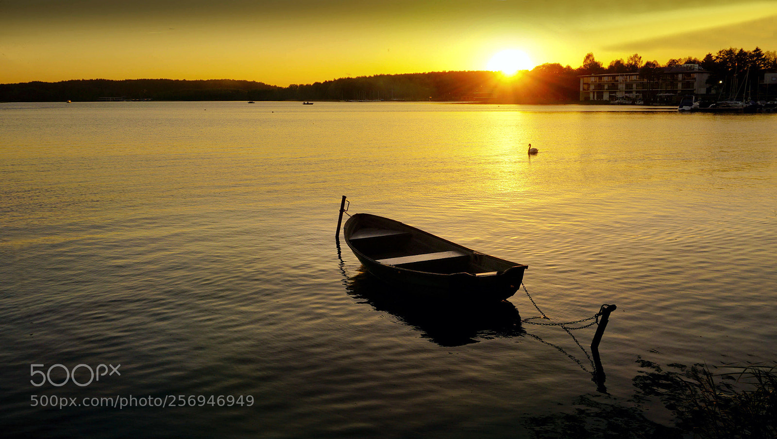 Sony a6000 sample photo. Sunset  today  , lake krzywa photography