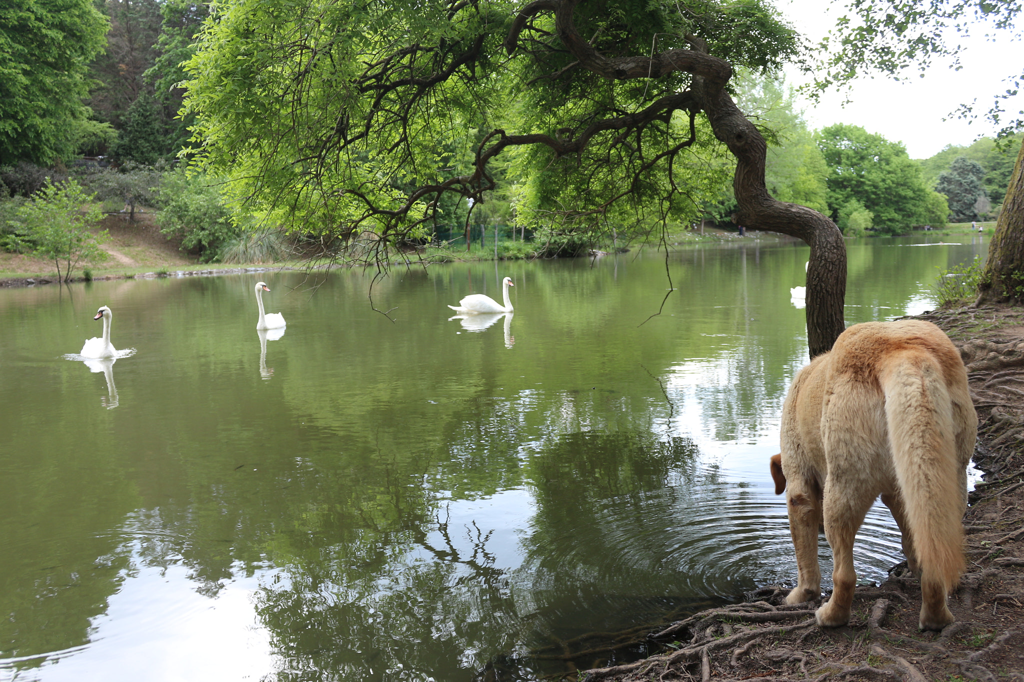 Canon EOS 650D (EOS Rebel T4i / EOS Kiss X6i) sample photo. Nature life. photography