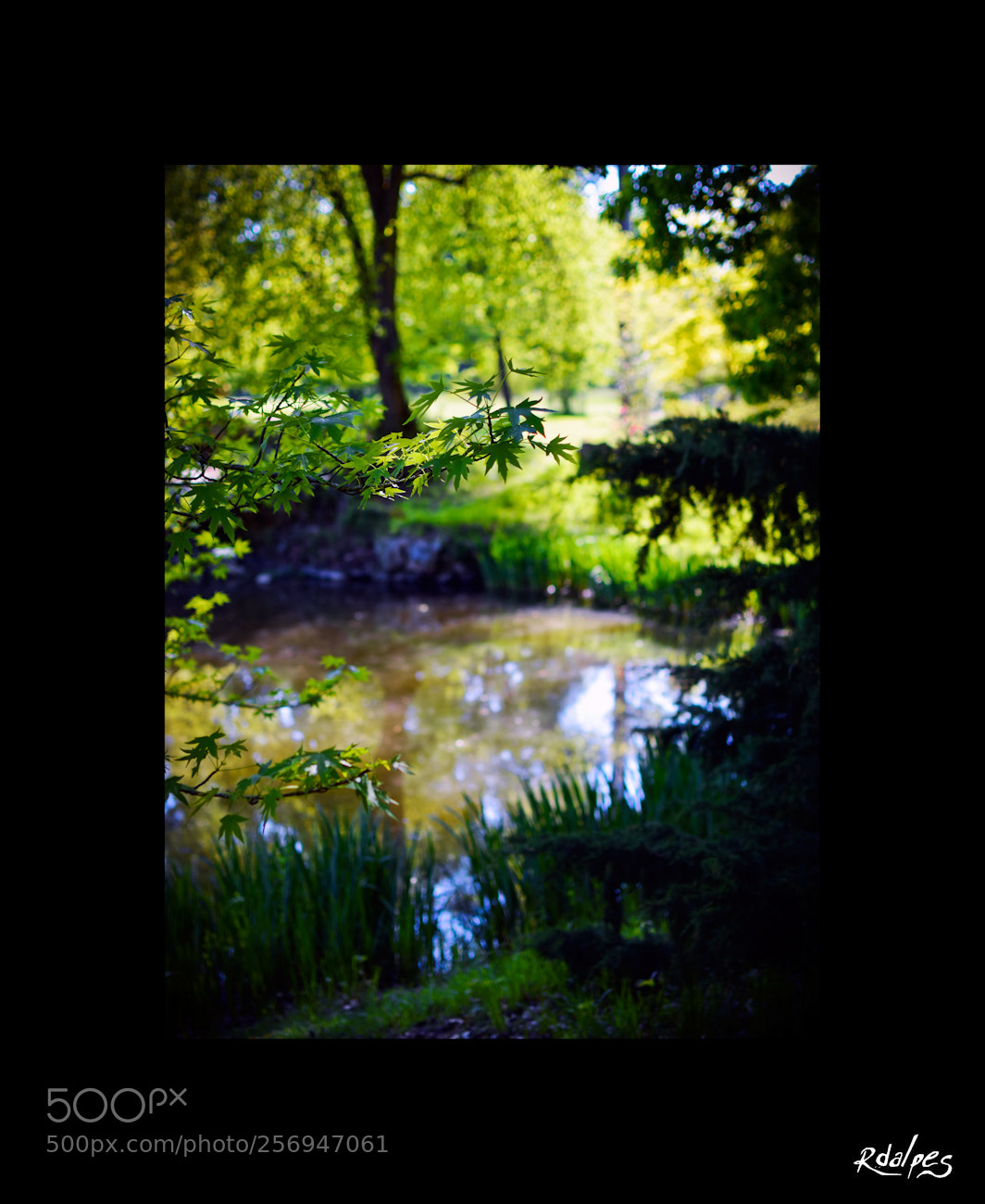 Nikon D3200 sample photo. Ombres photography