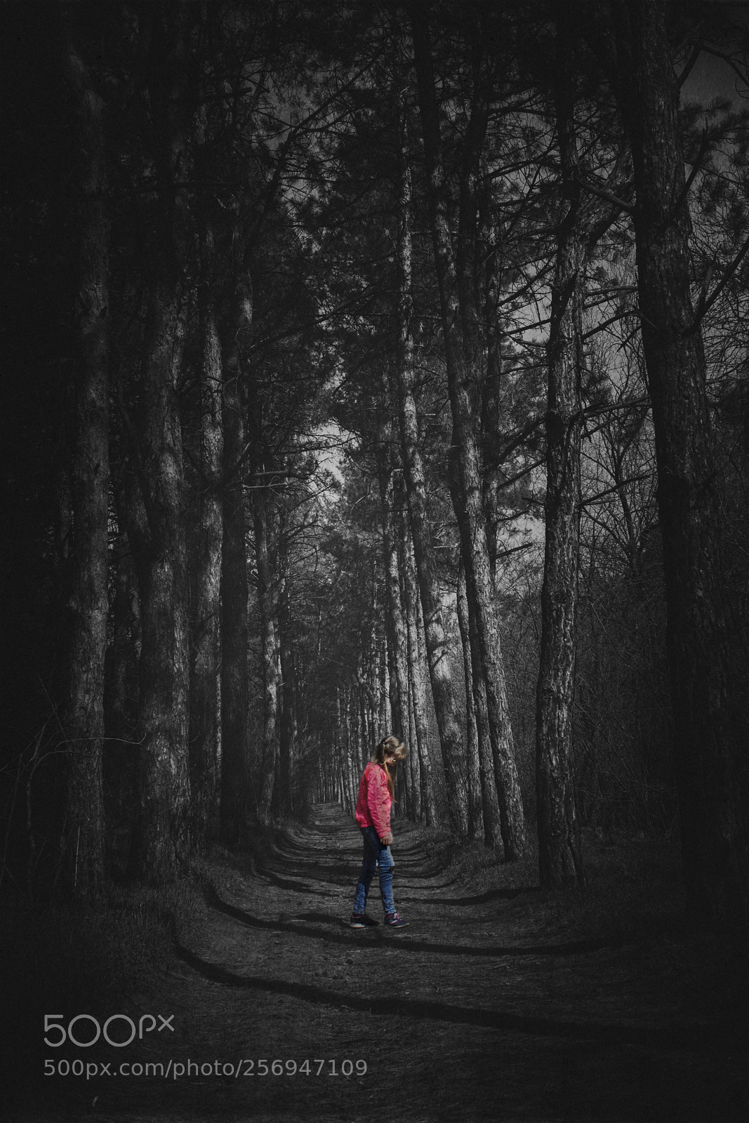 Canon EOS 60D sample photo. Walking in woods photography