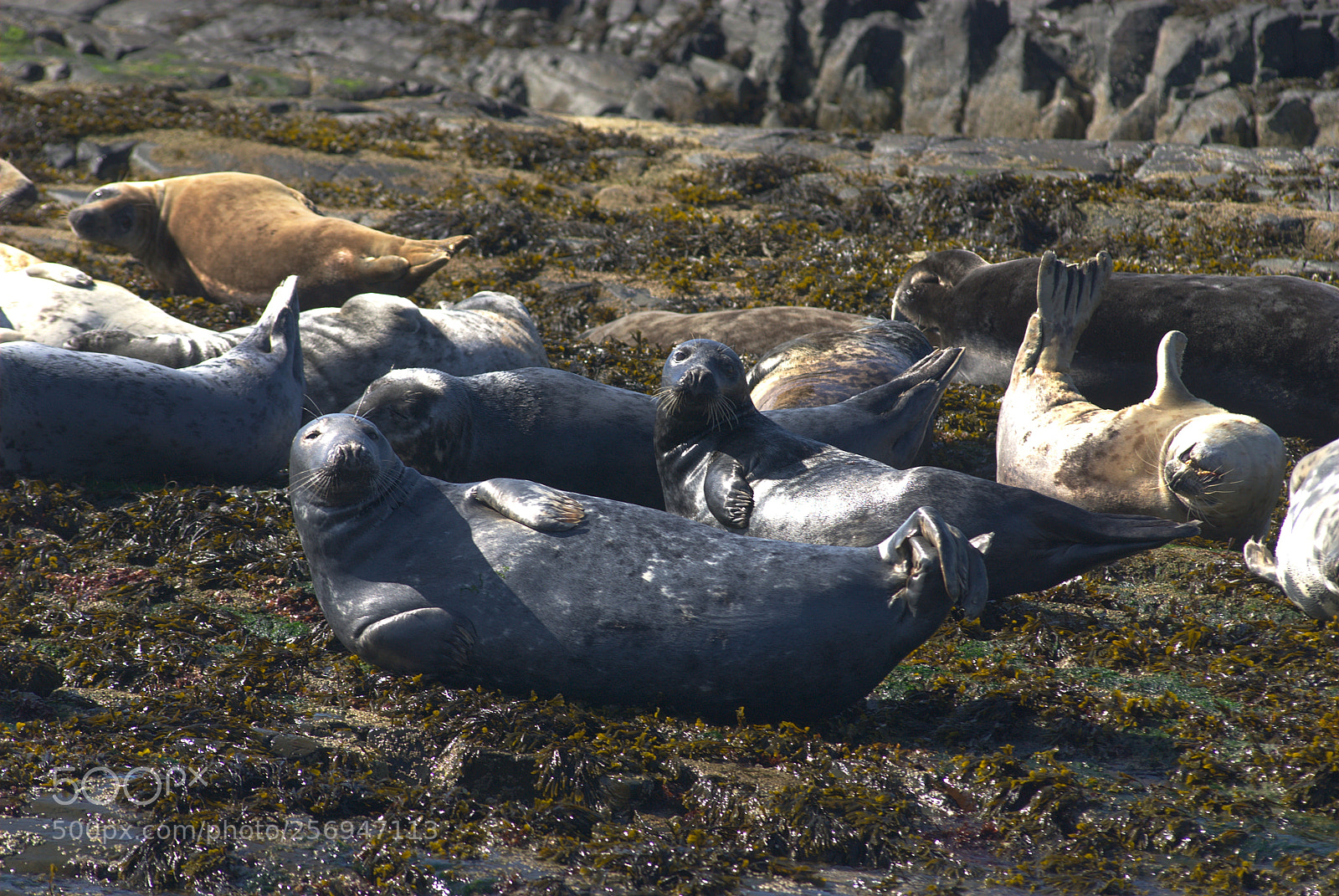 Nikon D80 sample photo. Sunbathing photography
