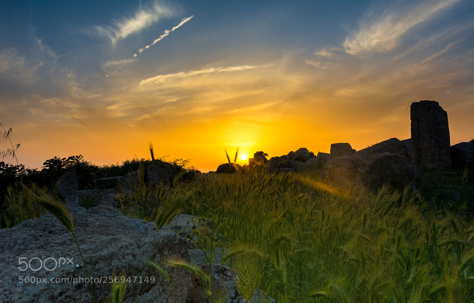 Nikon D7100 sample photo. Tramonto di selinunte photography