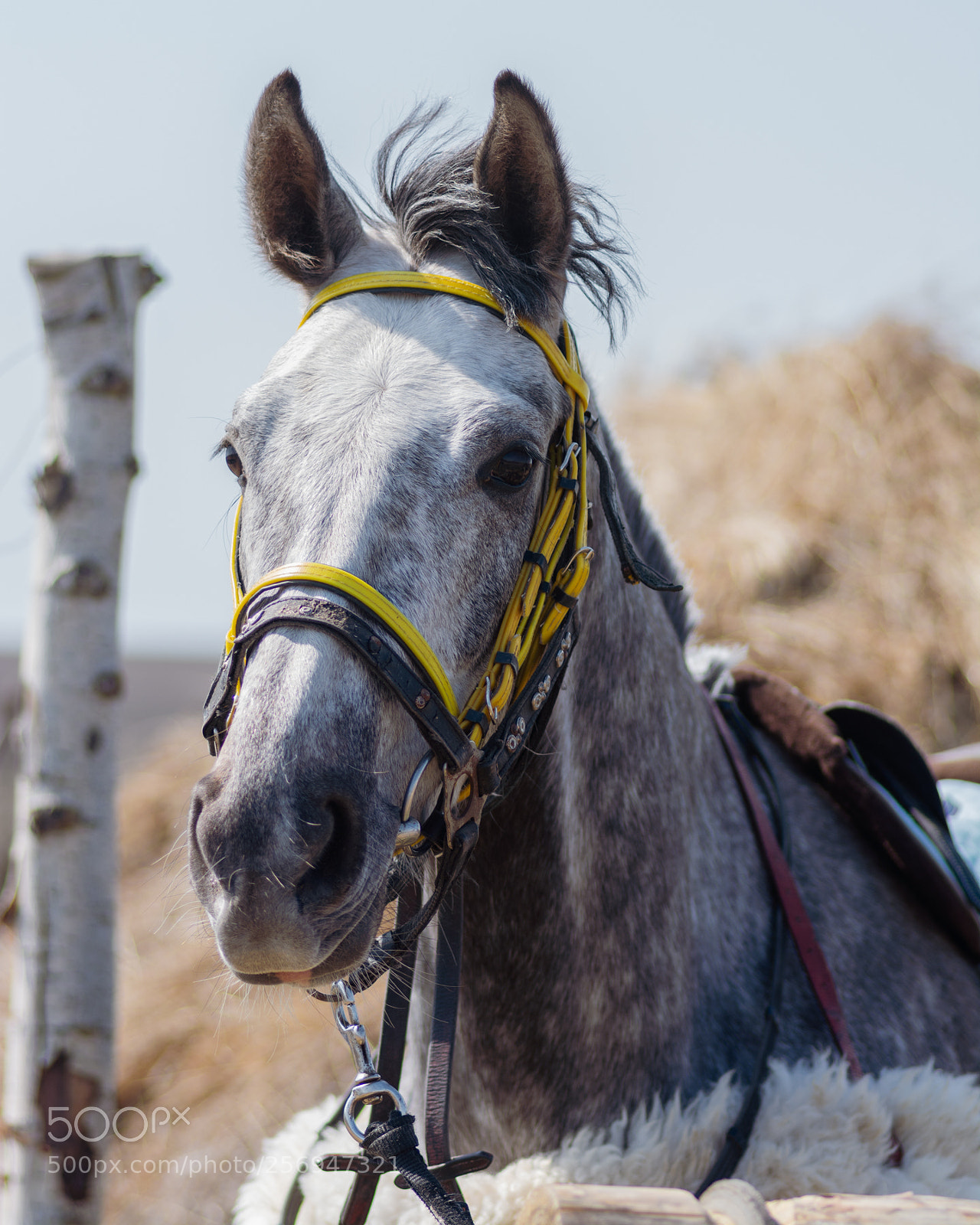 Nikon D7100 sample photo. Untitled photography