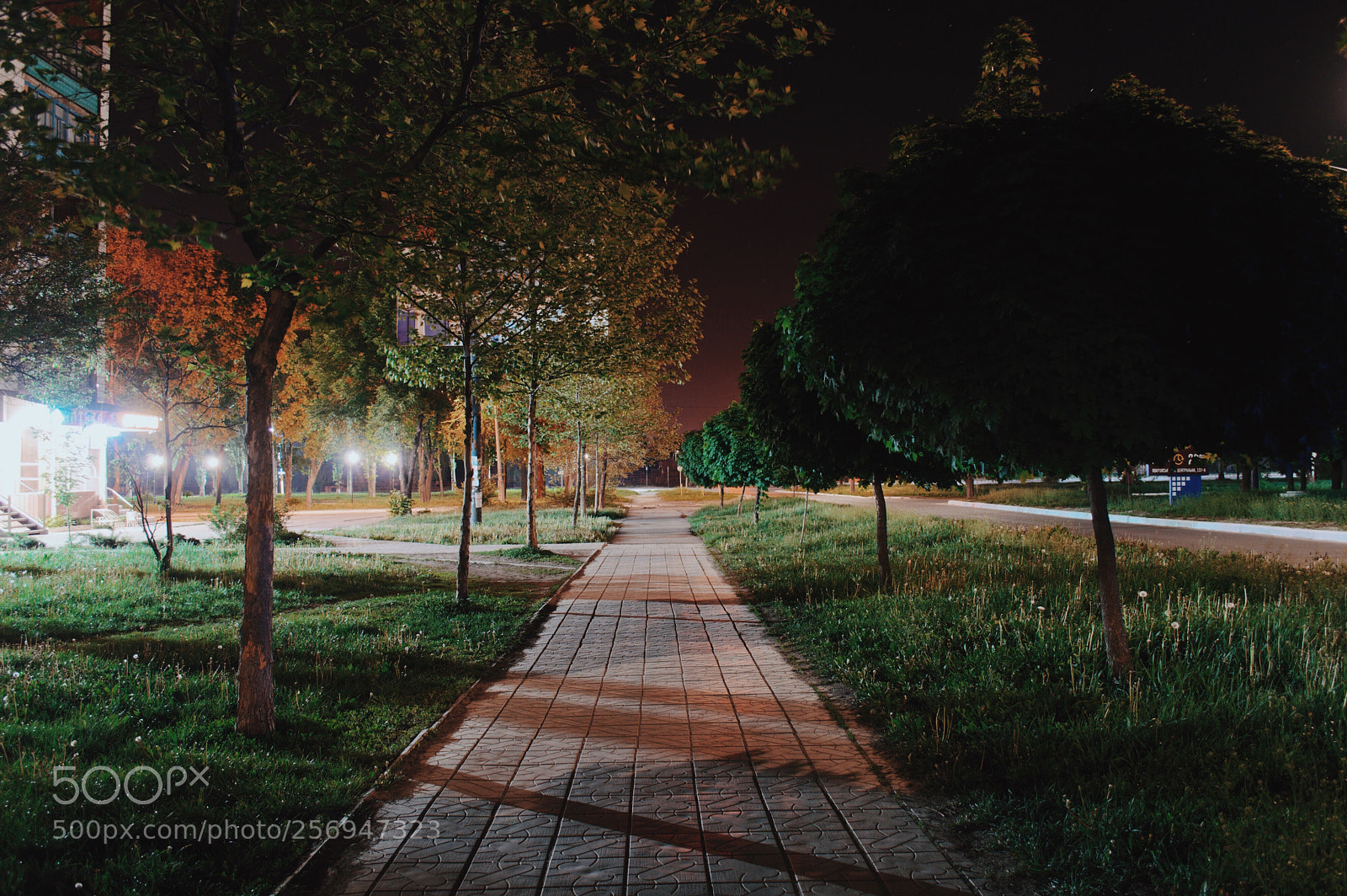 Nikon D3200 sample photo. City photography