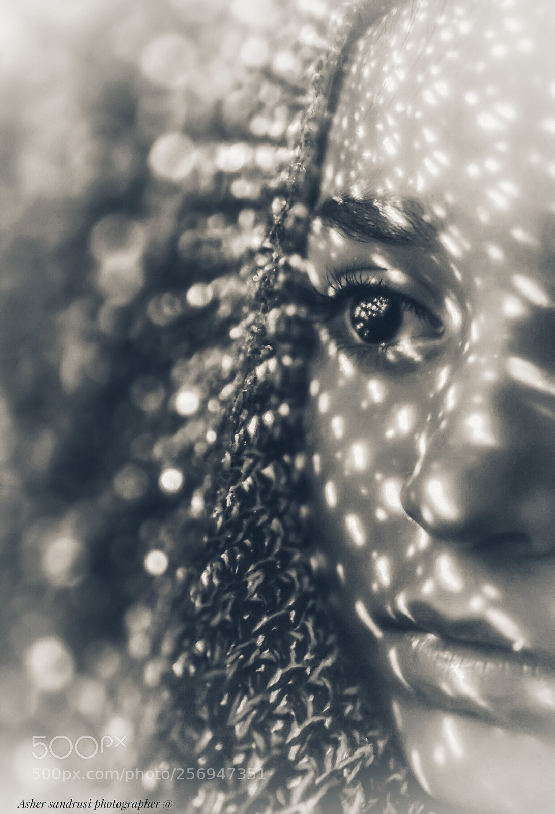 Nikon D750 sample photo. Untitled photography