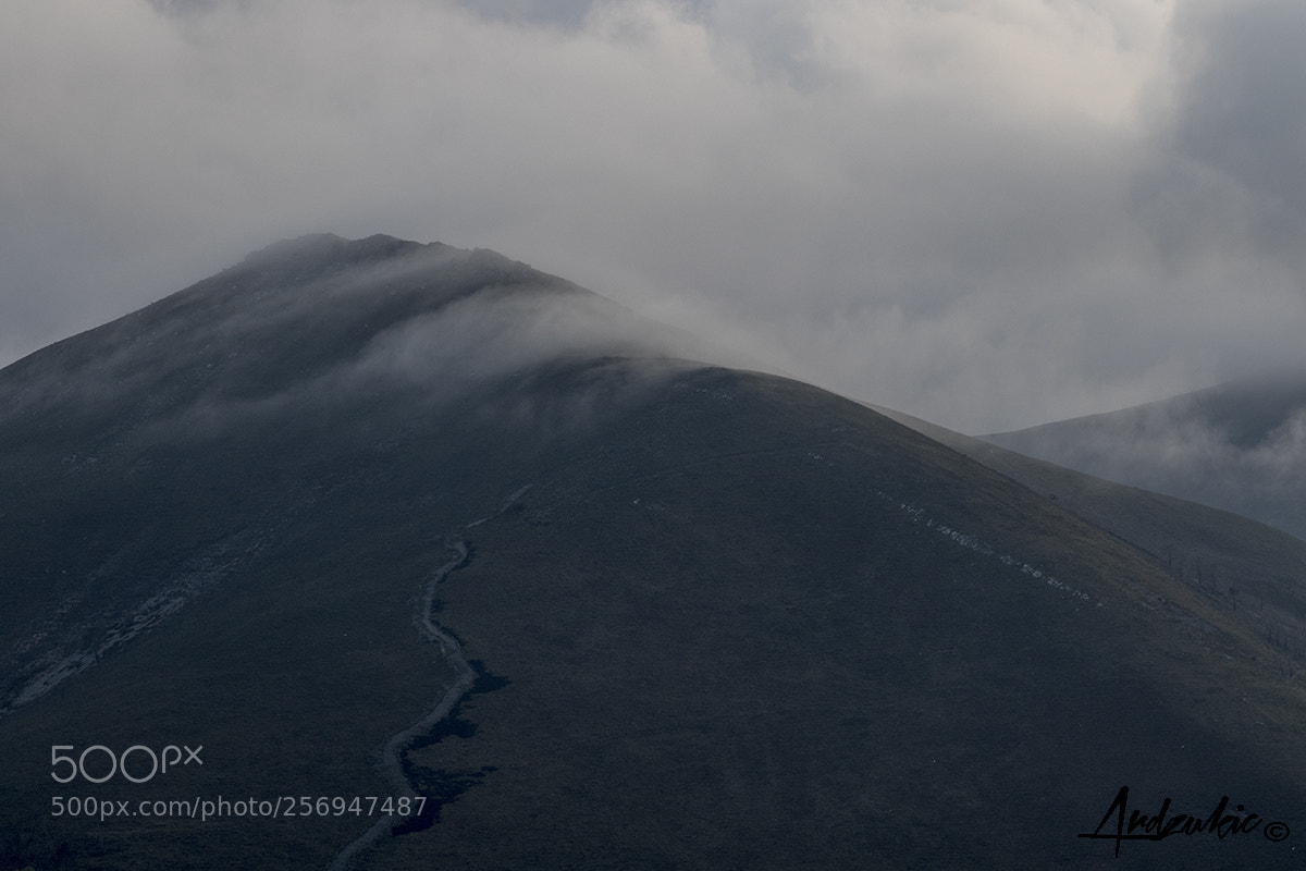 Canon EOS 7D Mark II sample photo. Fog photography