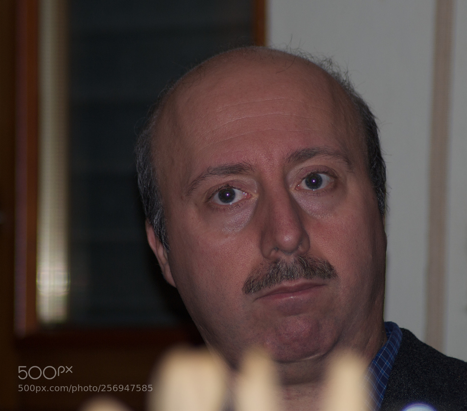 Nikon D60 sample photo. Version photography