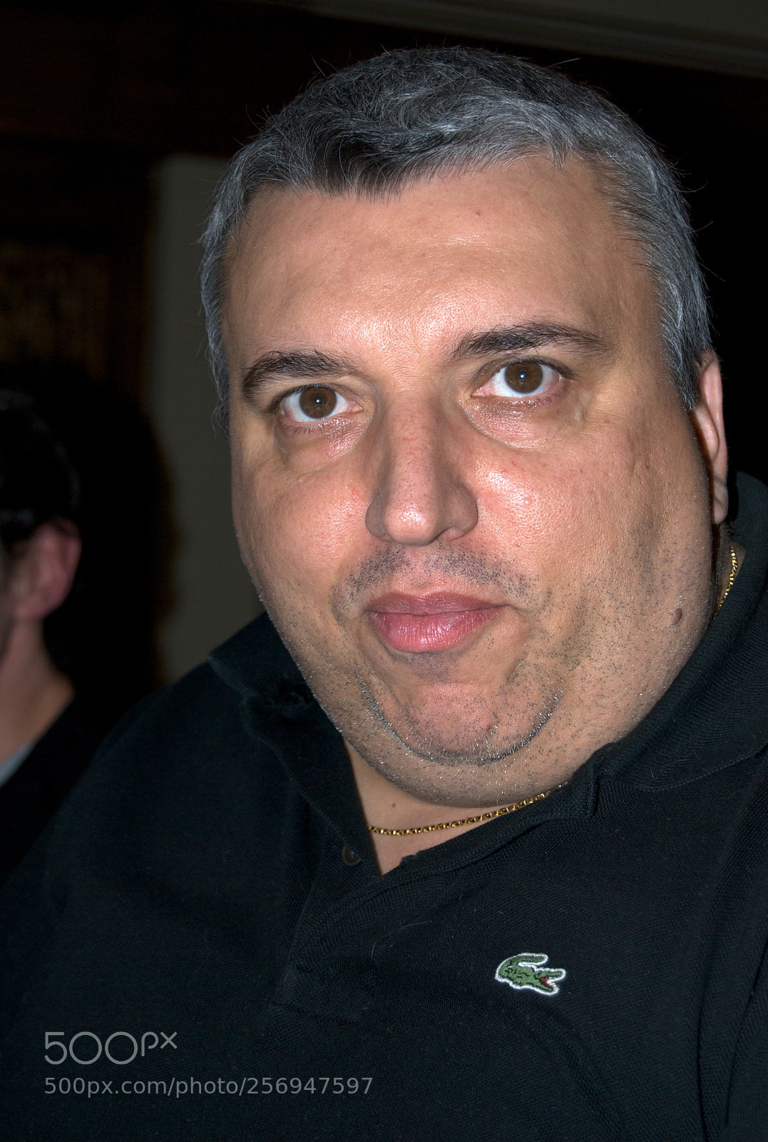 Nikon D60 sample photo. Version photography