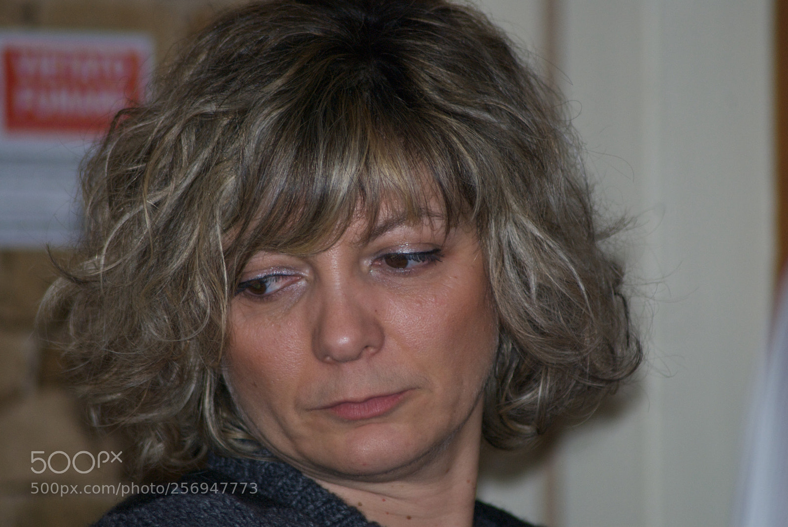 Nikon D60 sample photo. Version photography
