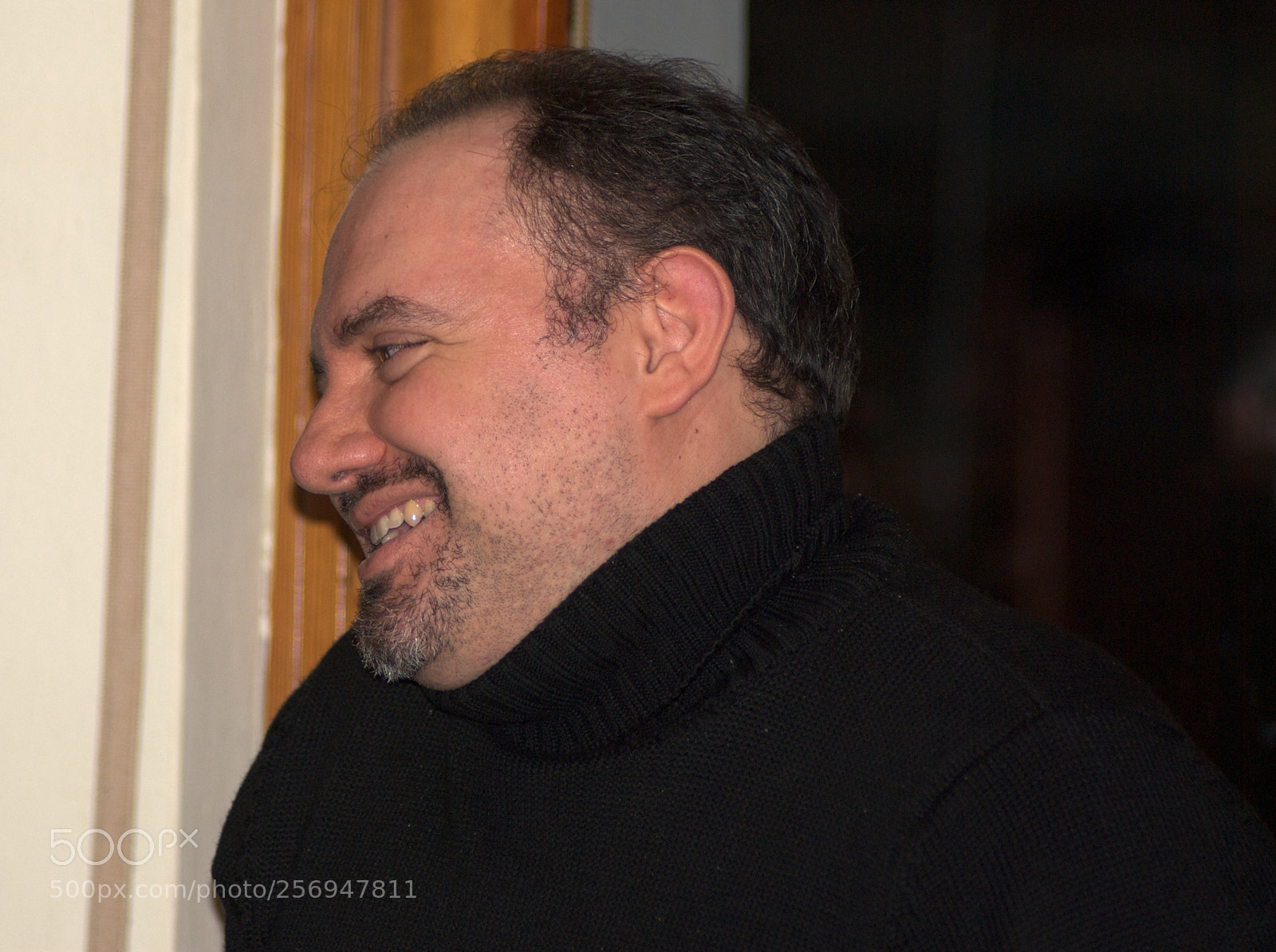 Nikon D60 sample photo. Version photography