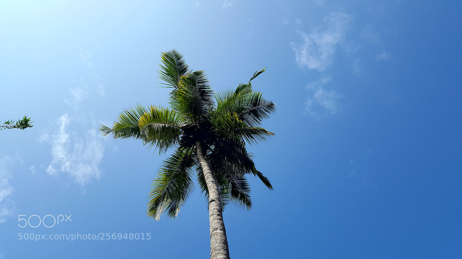 Samsung Galaxy S6 sample photo. Goa photography