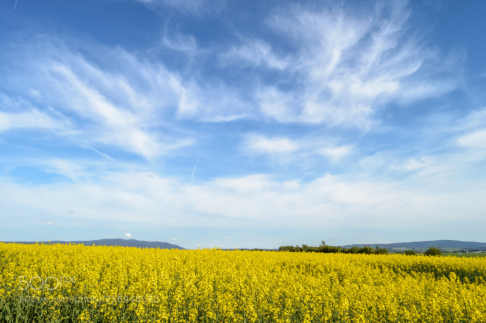 Nikon D3200 sample photo. Rapsfeld photography