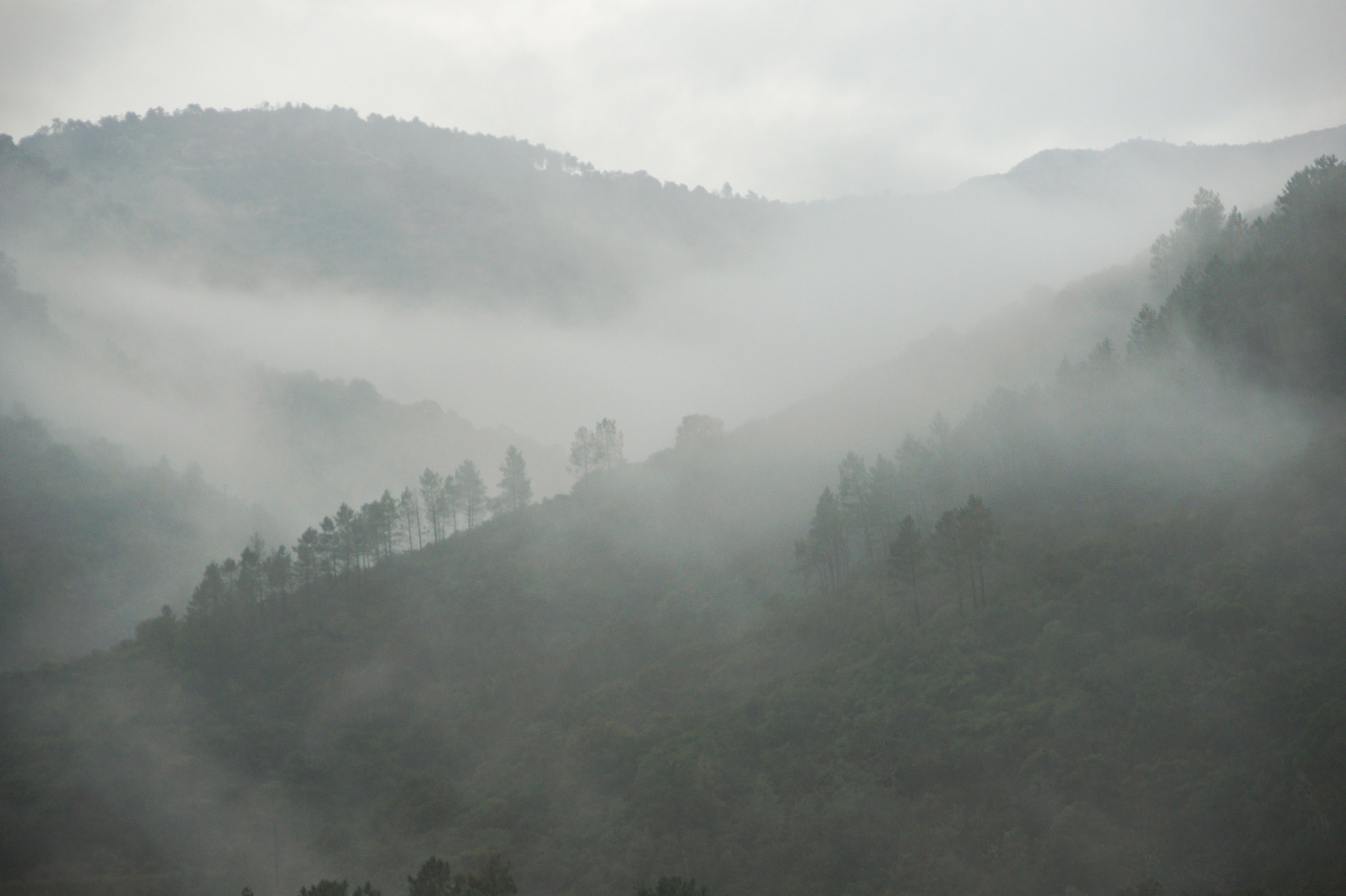 Sony Alpha DSLR-A550 sample photo. Slopes in the fog. photography