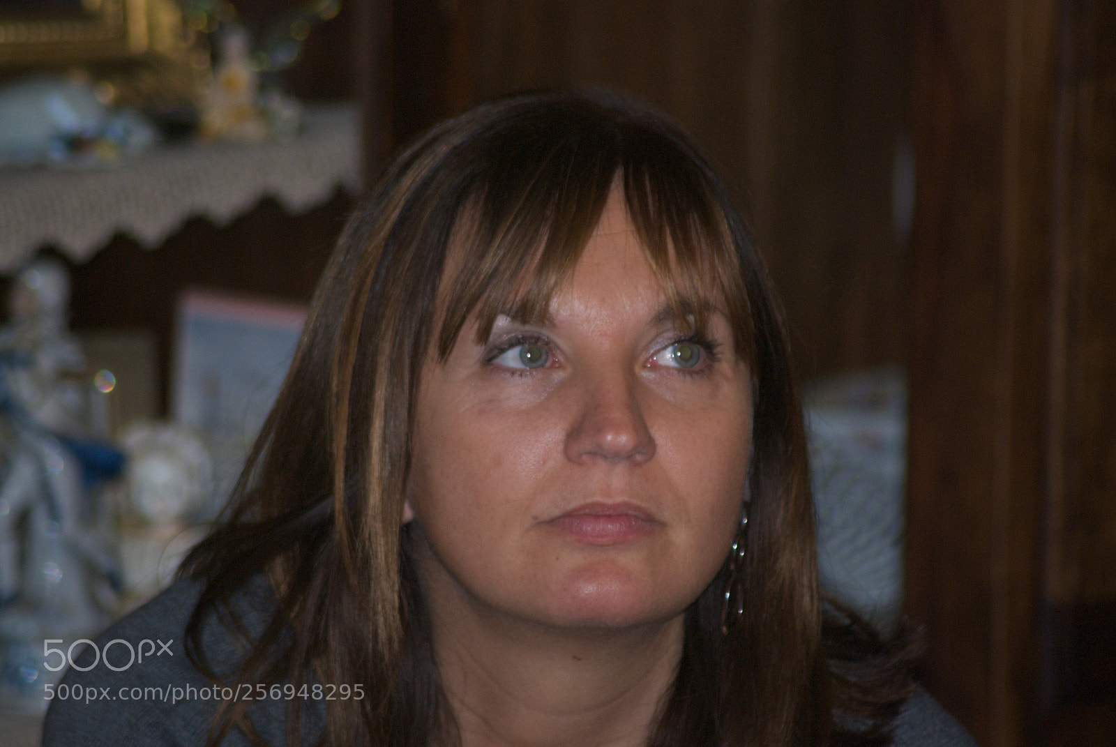 Nikon D60 sample photo. Version photography
