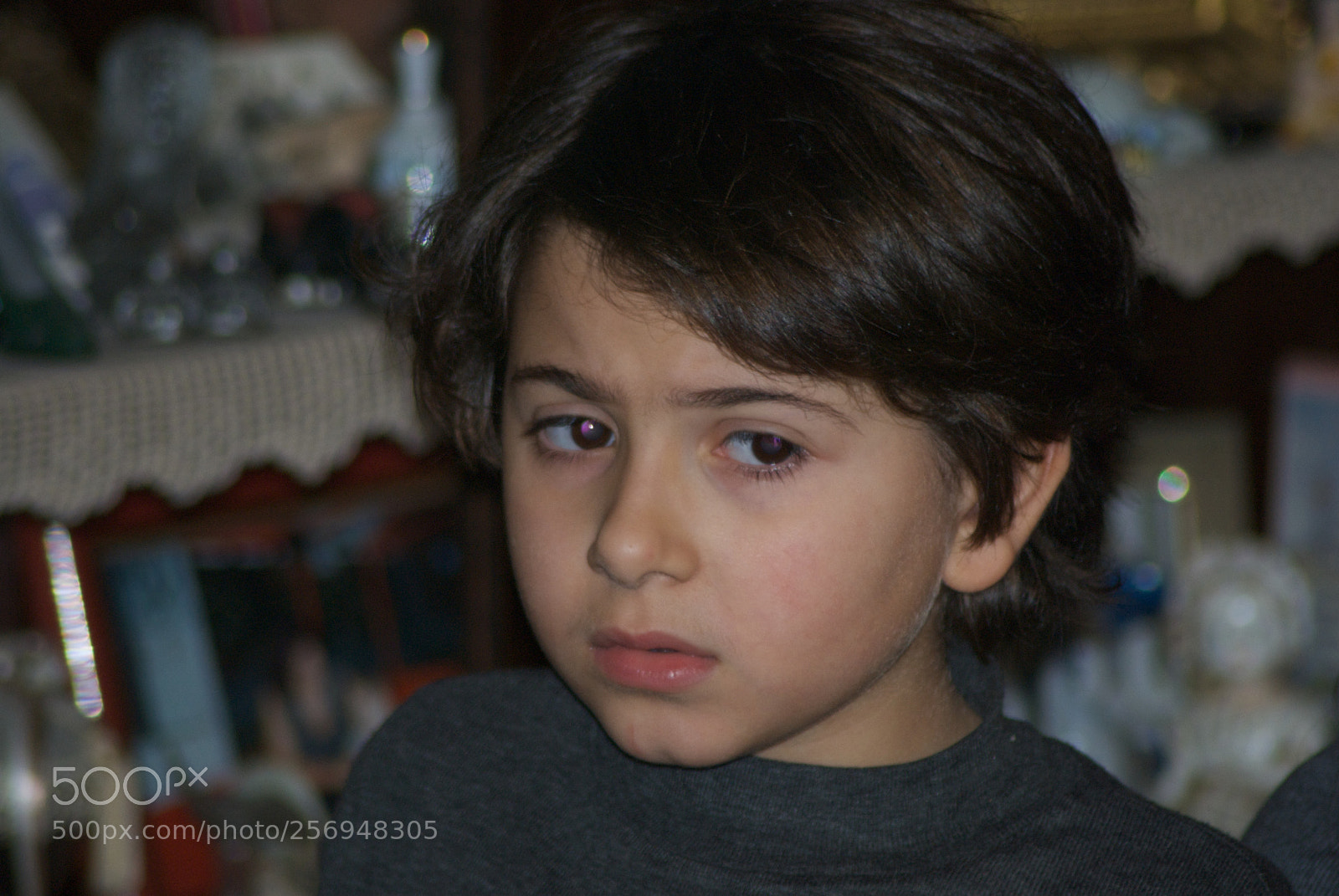 Nikon D60 sample photo. Version photography