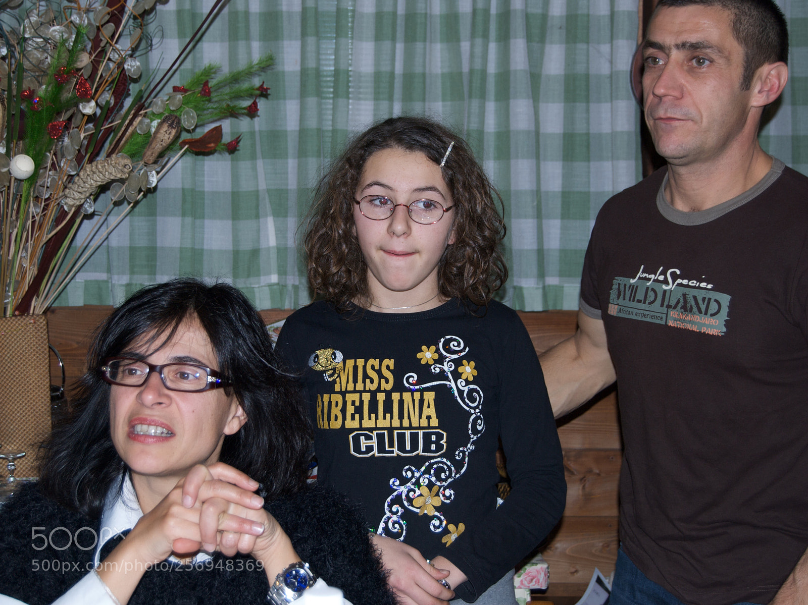 Nikon D60 sample photo. Version photography