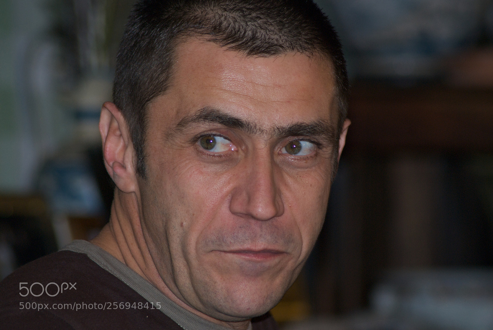 Nikon D60 sample photo. Version photography